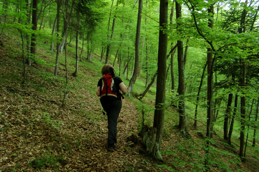 Kojšovská hoľa z Gelnice (Volovské vrchy)