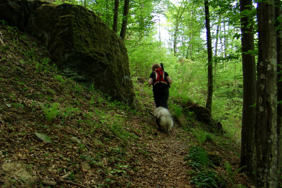 Kojšovská hoľa z Gelnice (Volovské vrchy)