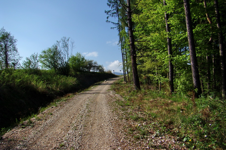 Kojšovská hoľa z Gelnice (Volovské vrchy)