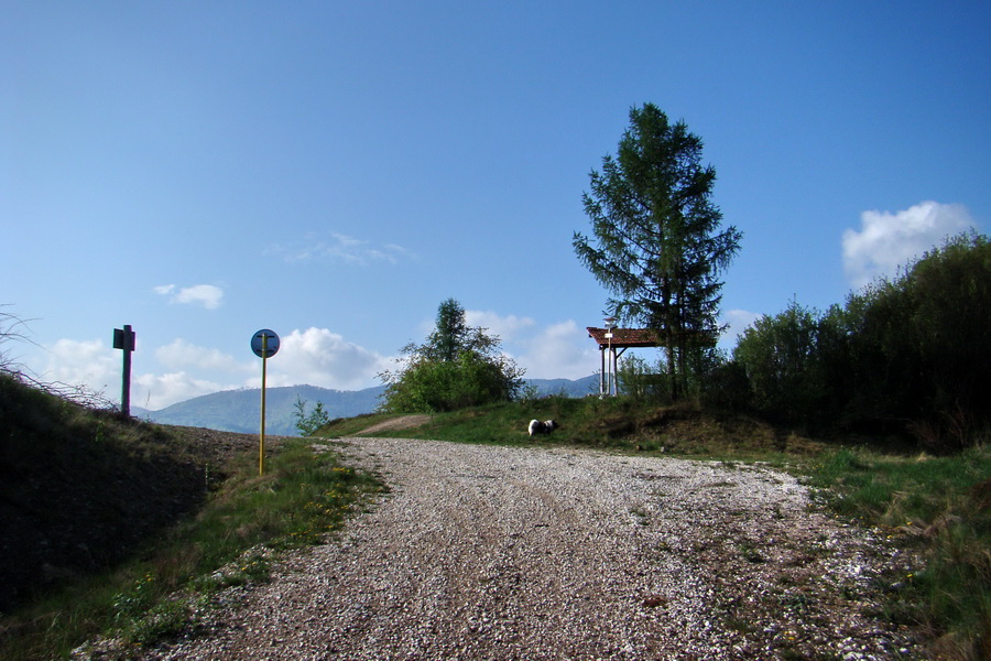 Kojšovská hoľa z Gelnice (Volovské vrchy)