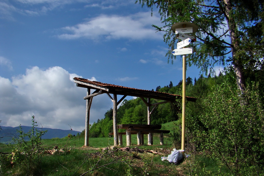 Kojšovská hoľa z Gelnice (Volovské vrchy)