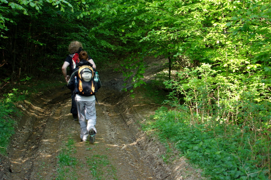 Kojšovská hoľa z Gelnice (Volovské vrchy)