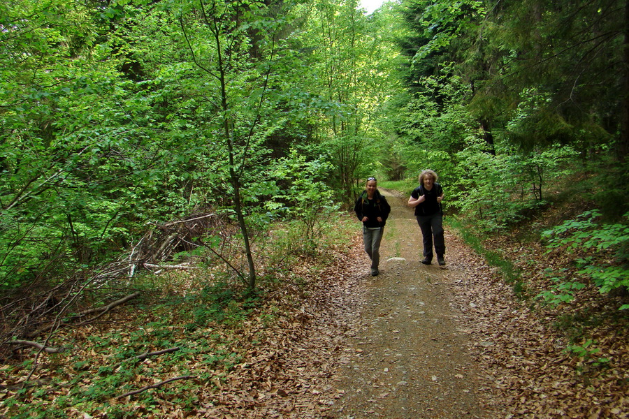 Kojšovská hoľa z Gelnice (Volovské vrchy)