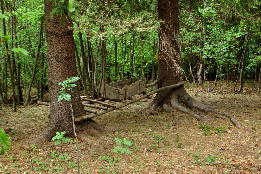 Kojšovská hoľa z Gelnice (Volovské vrchy)