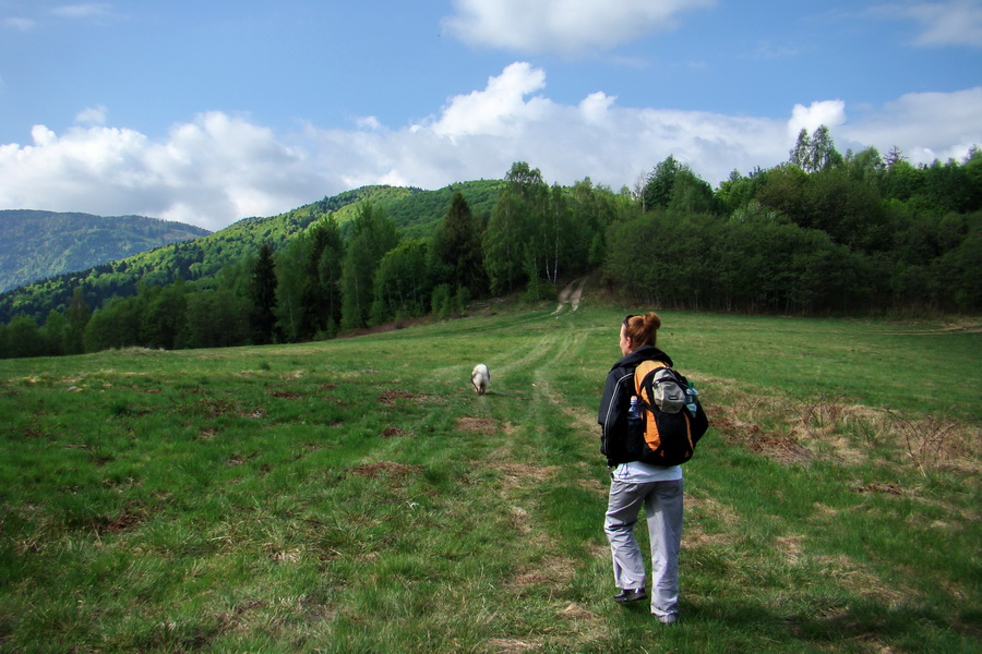 Kojšovská hoľa z Gelnice (Volovské vrchy)