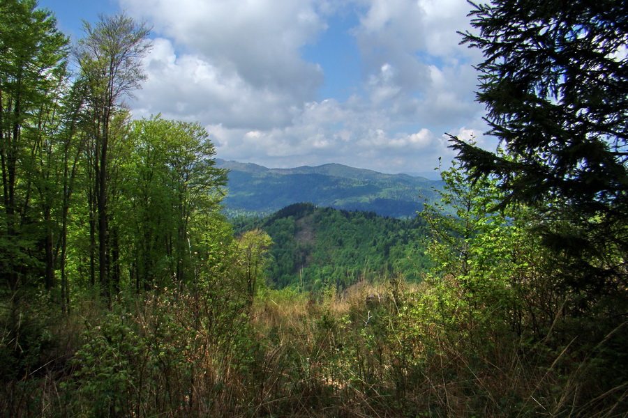 Kojšovská hoľa z Gelnice (Volovské vrchy)