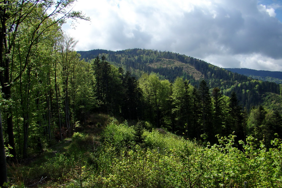 Kojšovská hoľa z Gelnice (Volovské vrchy)