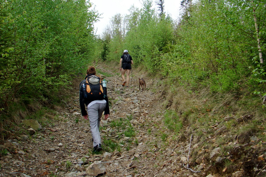 Kojšovská hoľa z Gelnice (Volovské vrchy)