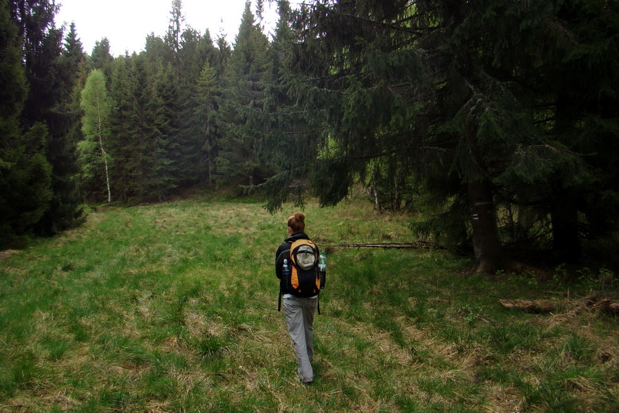 Kojšovská hoľa z Gelnice (Volovské vrchy)