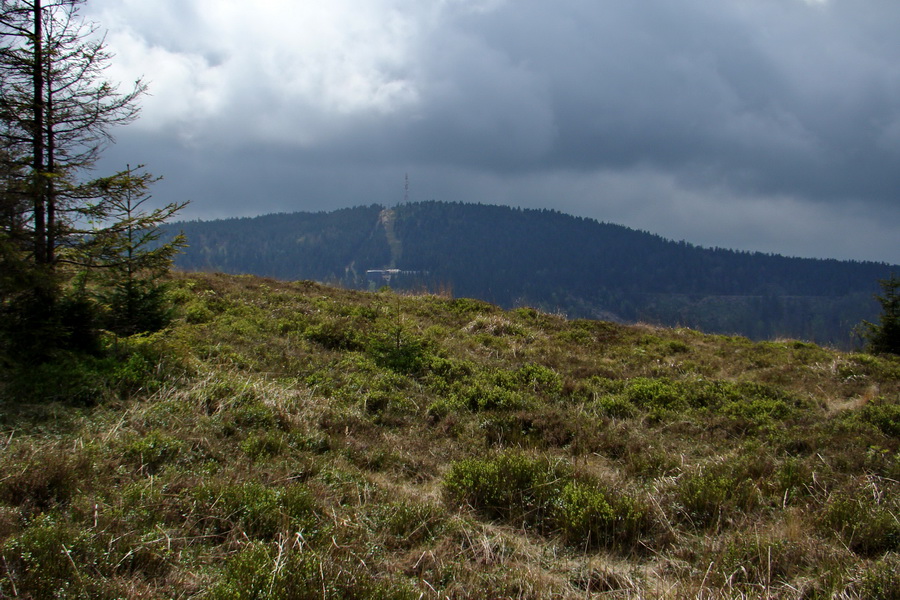 Kojšovská hoľa z Gelnice (Volovské vrchy)