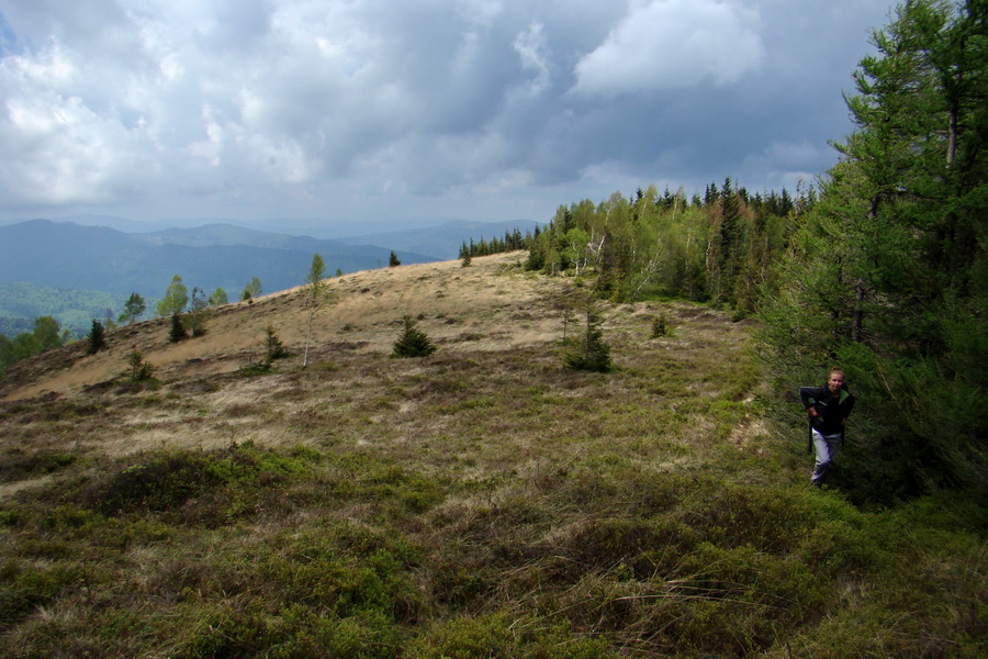 Kojšovská hoľa z Gelnice (Volovské vrchy)