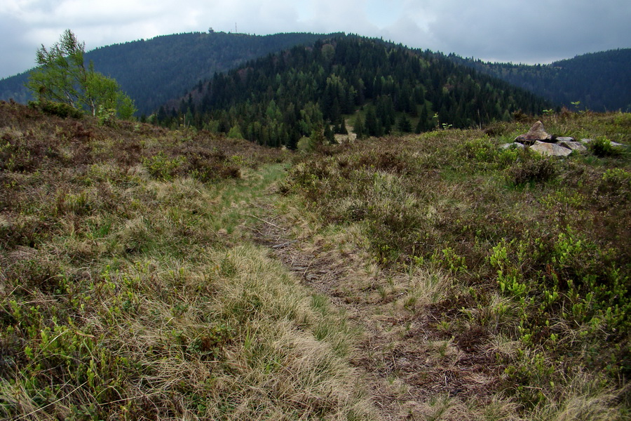 Kojšovská hoľa z Gelnice (Volovské vrchy)