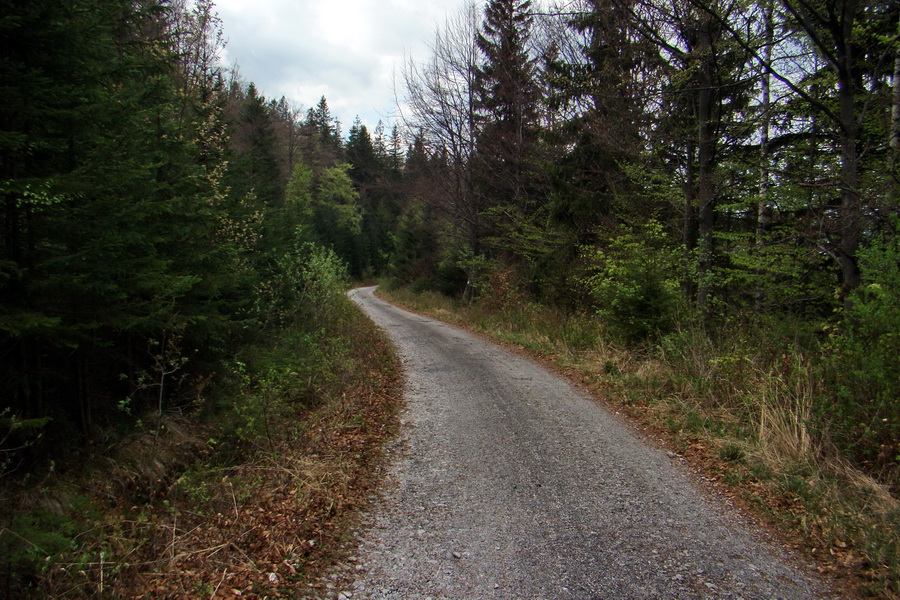 Kojšovská hoľa z Gelnice (Volovské vrchy)