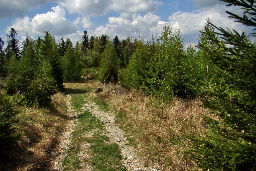 Kojšovská hoľa z Gelnice (Volovské vrchy)