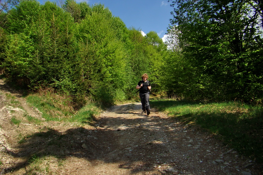 Kojšovská hoľa z Gelnice (Volovské vrchy)