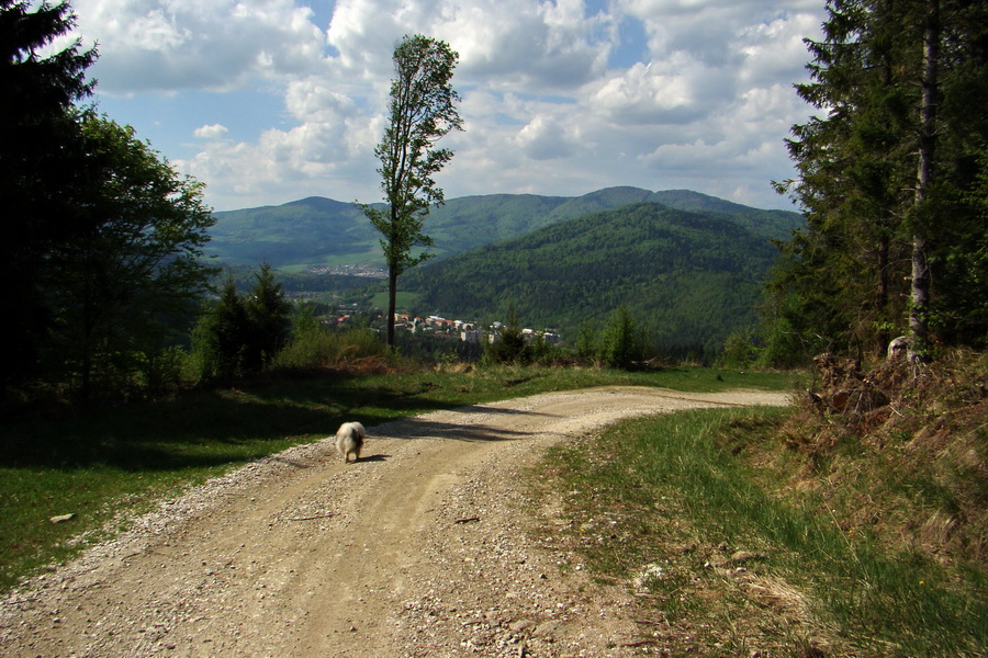 Kojšovská hoľa z Gelnice (Volovské vrchy)