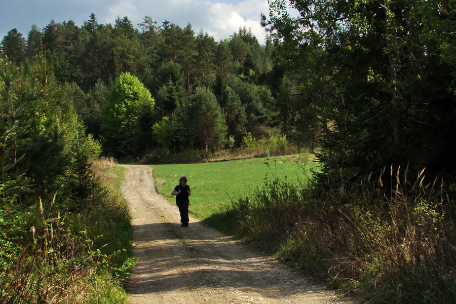 Kojšovská hoľa z Gelnice (Volovské vrchy)