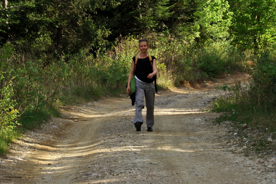 Kojšovská hoľa z Gelnice (Volovské vrchy)