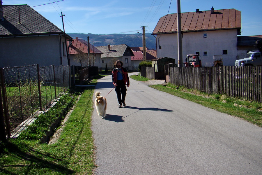 Kráľova hoľa z Telgárta (Nízke Tatry)