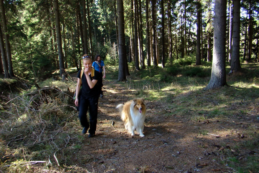 Kráľova hoľa z Telgárta (Nízke Tatry)