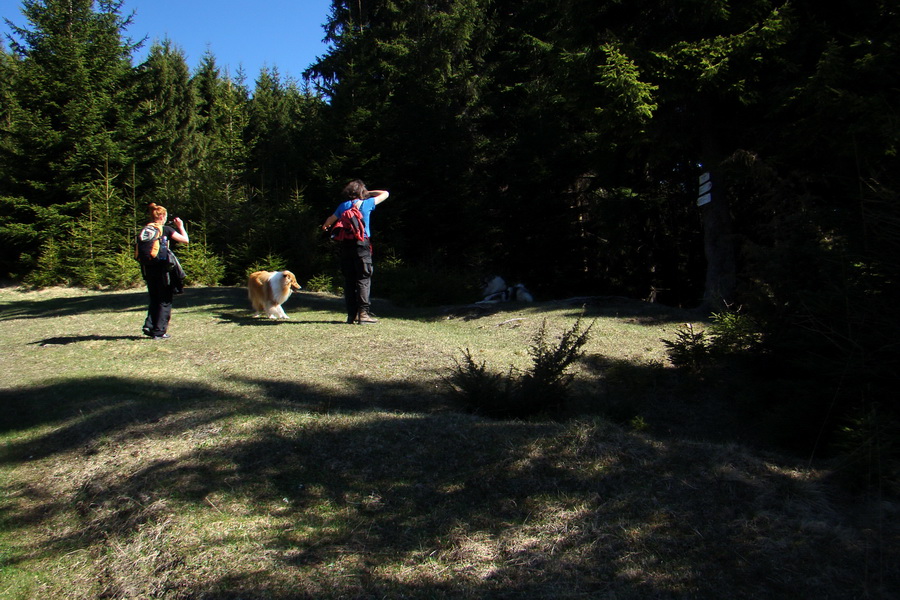 Kráľova hoľa z Telgárta (Nízke Tatry)