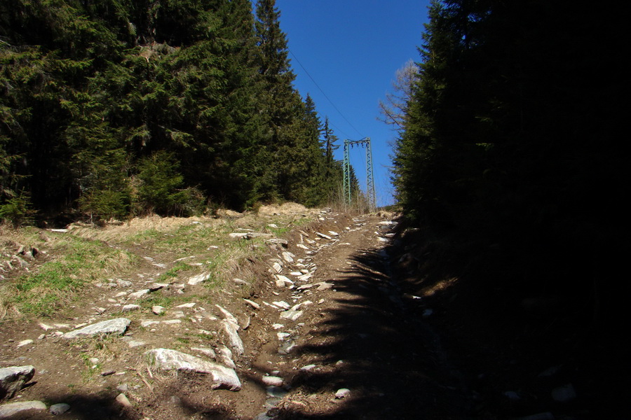 Kráľova hoľa z Telgárta (Nízke Tatry)