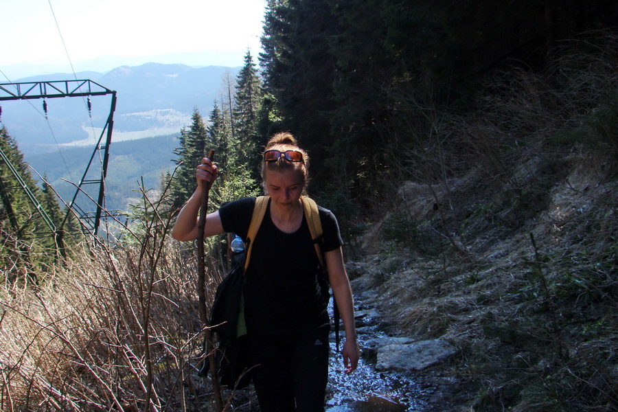 Kráľova hoľa z Telgárta (Nízke Tatry)