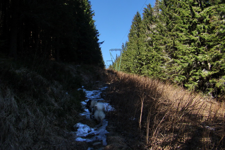 Kráľova hoľa z Telgárta (Nízke Tatry)