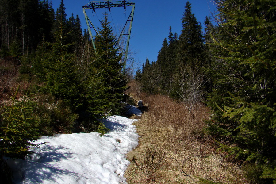 Kráľova hoľa z Telgárta (Nízke Tatry)