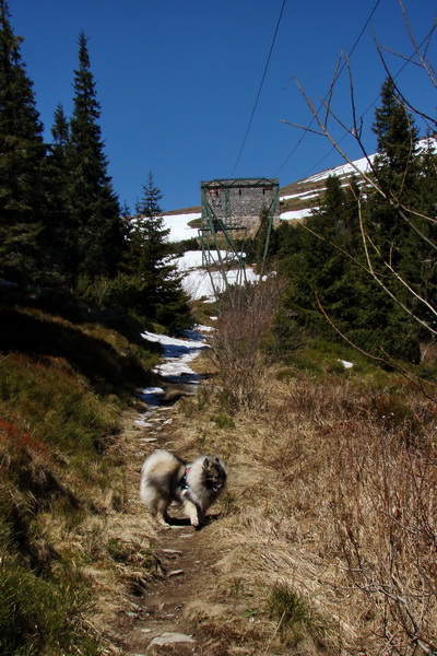 Kráľova hoľa z Telgárta (Nízke Tatry)