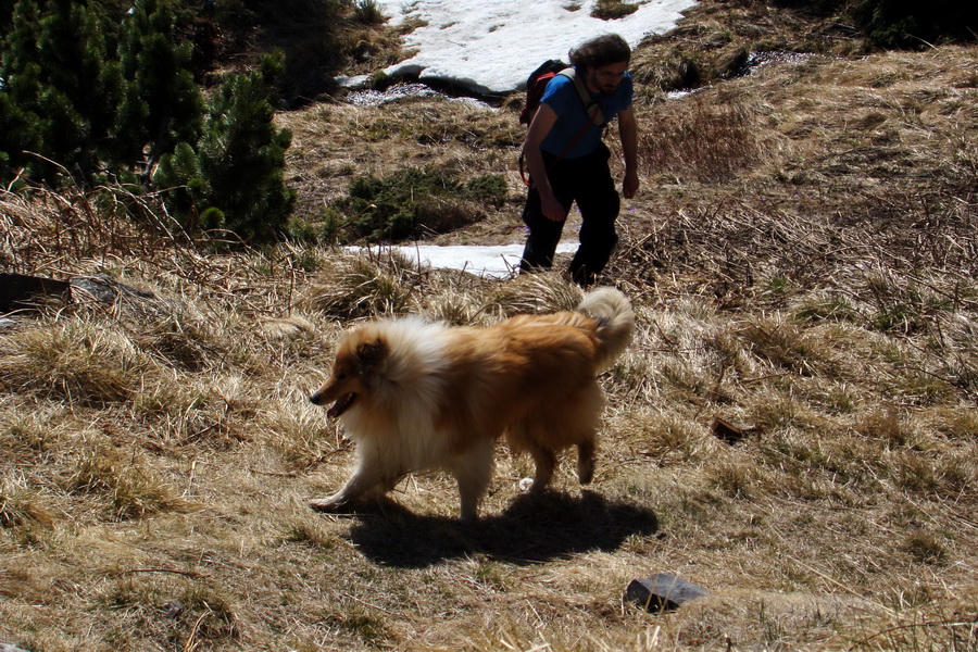 Kráľova hoľa z Telgárta (Nízke Tatry)