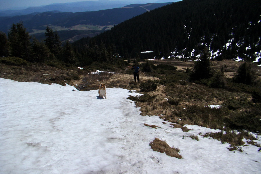 Kráľova hoľa z Telgárta (Nízke Tatry)