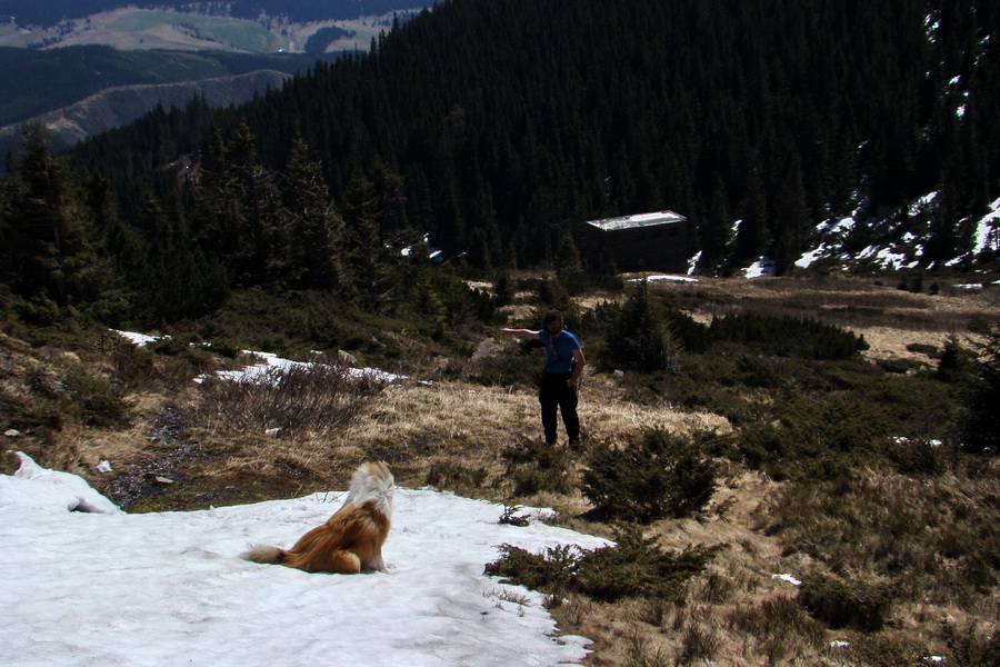 Kráľova hoľa z Telgárta (Nízke Tatry)