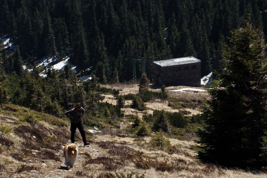 Kráľova hoľa z Telgárta (Nízke Tatry)