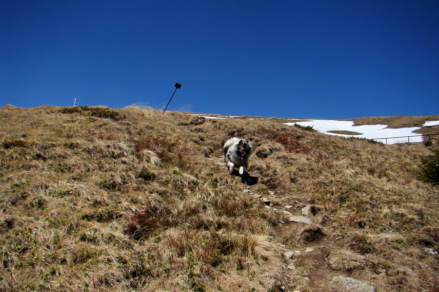 Kráľova hoľa z Telgárta (Nízke Tatry)