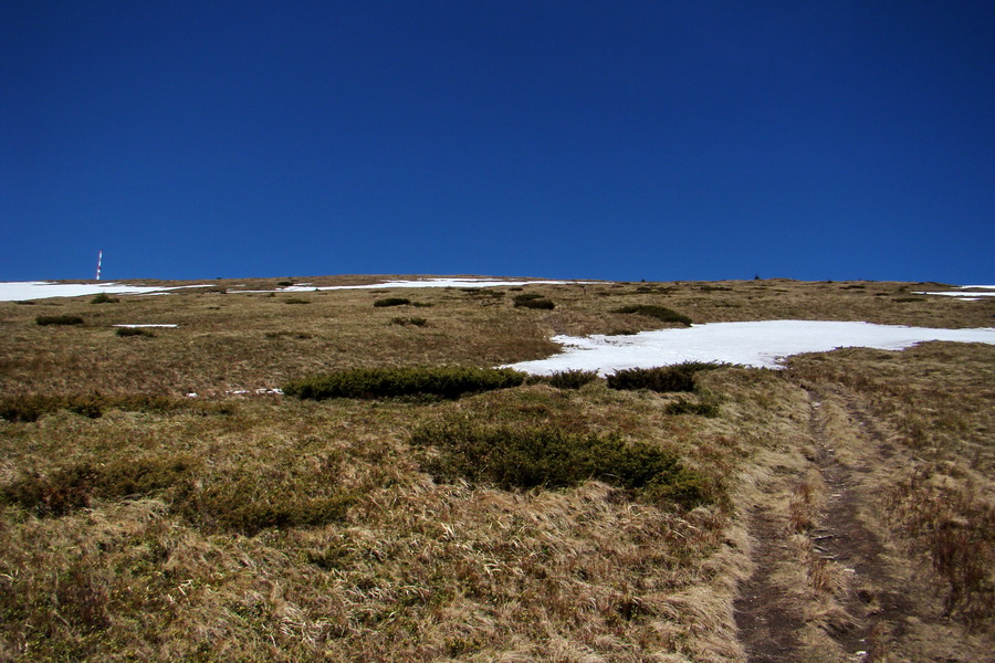 Kráľova hoľa z Telgárta (Nízke Tatry)