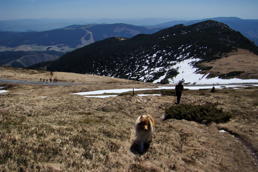 Kráľova hoľa z Telgárta (Nízke Tatry)