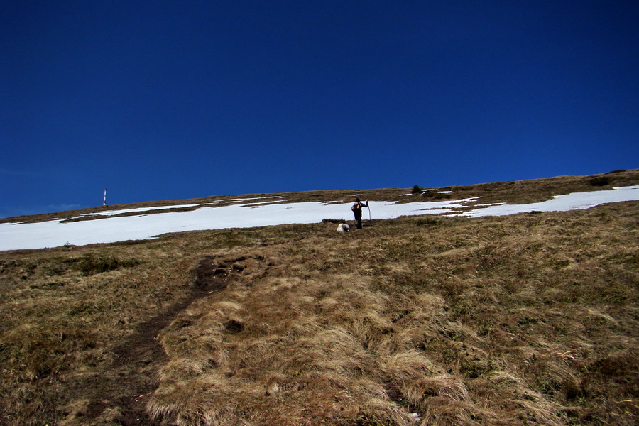 Kráľova hoľa z Telgárta (Nízke Tatry)