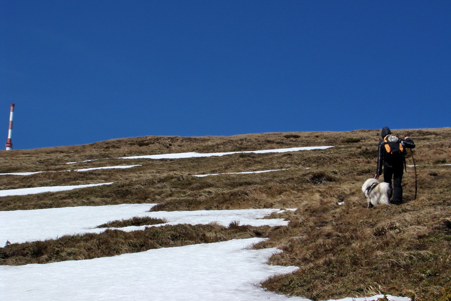 Kráľova hoľa z Telgárta (Nízke Tatry)