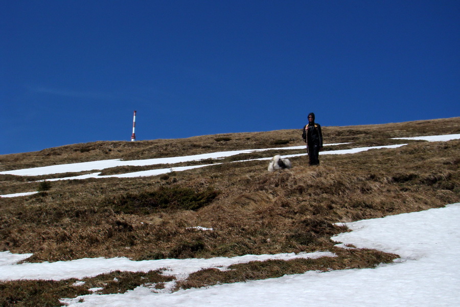 Kráľova hoľa z Telgárta (Nízke Tatry)