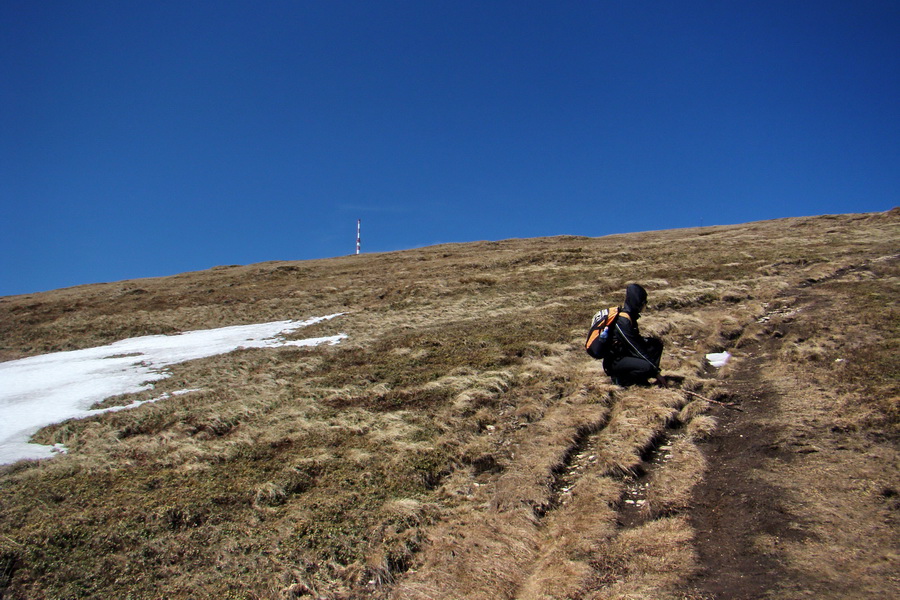 Kráľova hoľa z Telgárta (Nízke Tatry)