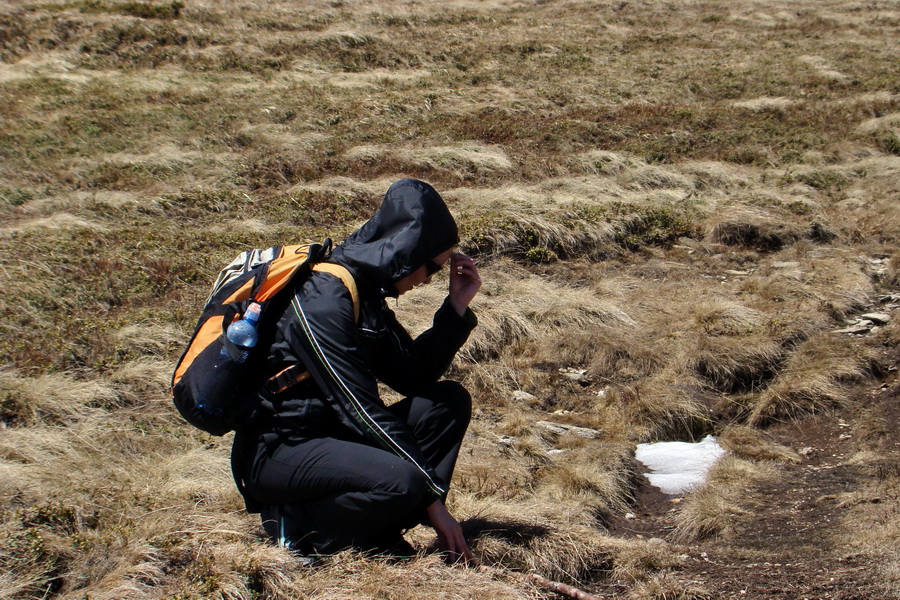 Kráľova hoľa z Telgárta (Nízke Tatry)