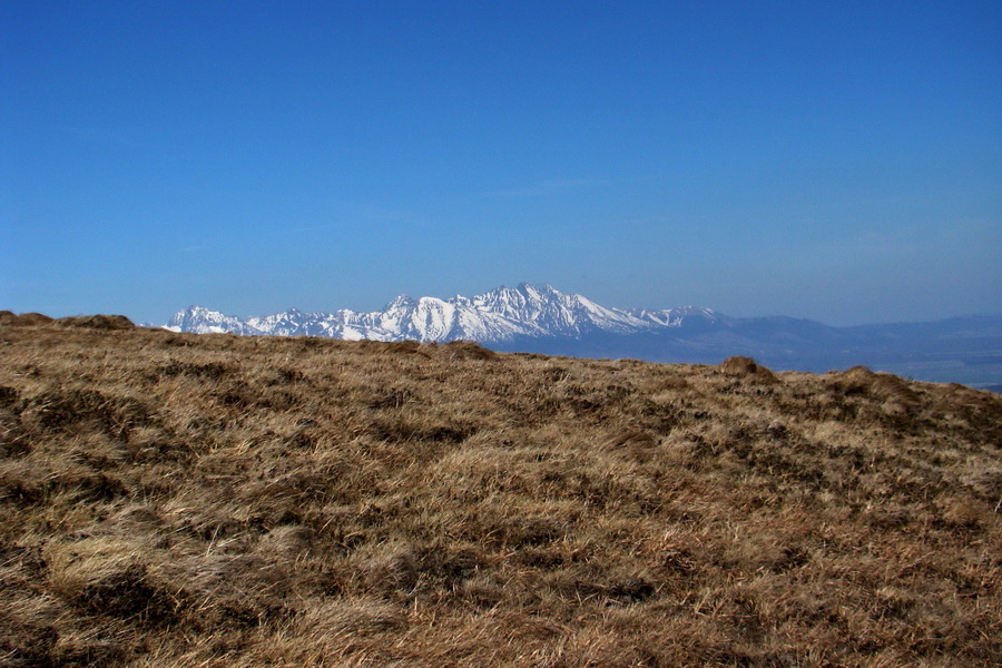 Kráľova hoľa z Telgárta (Nízke Tatry)