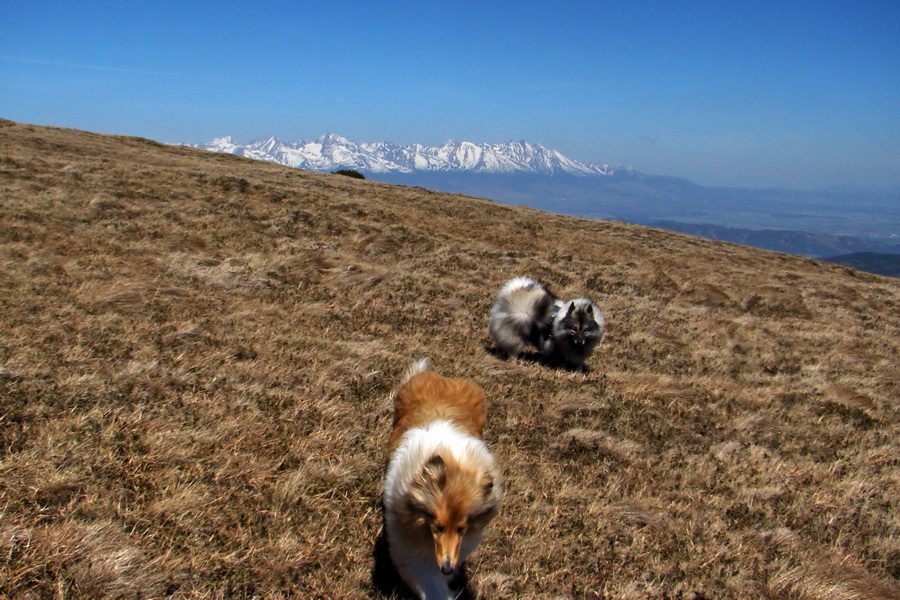 Kráľova hoľa z Telgárta (Nízke Tatry)