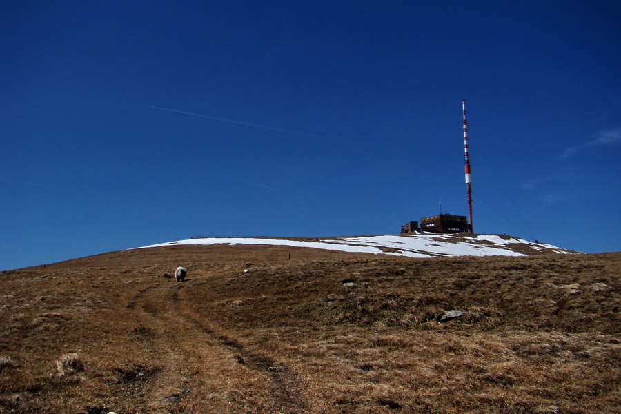 Kráľova hoľa z Telgárta (Nízke Tatry)