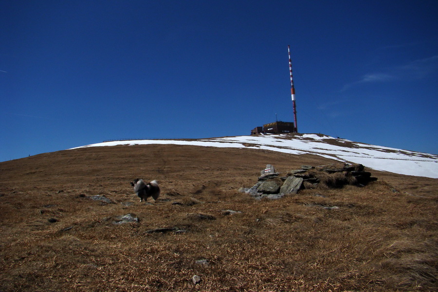 Kráľova hoľa z Telgárta (Nízke Tatry)