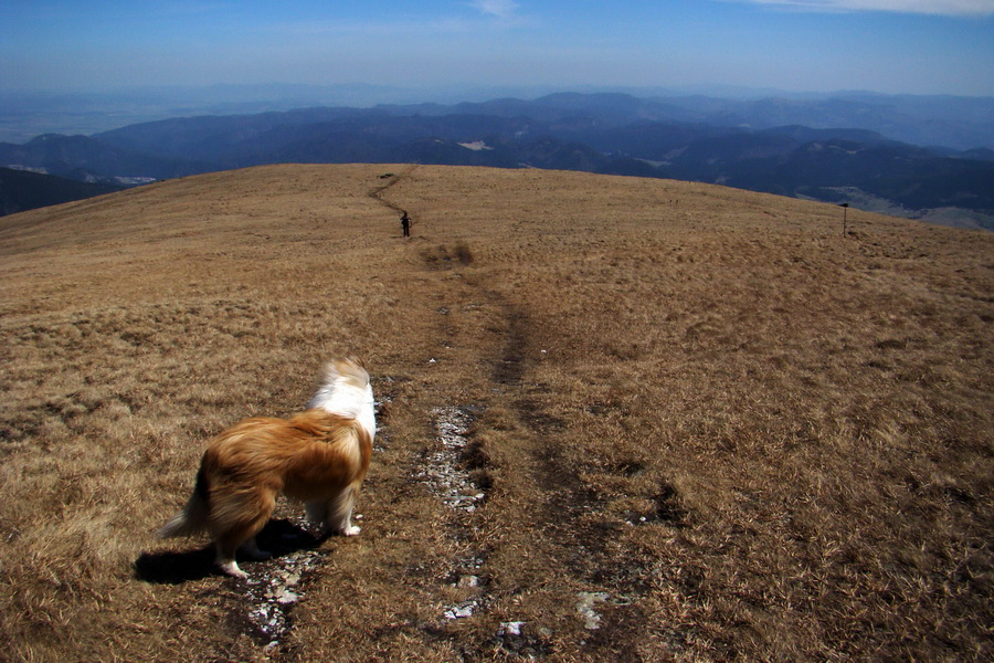 Kráľova hoľa z Telgárta (Nízke Tatry)