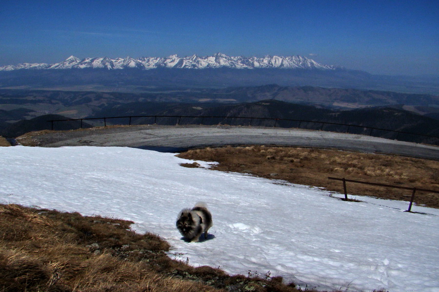 Kráľova hoľa z Telgárta (Nízke Tatry)