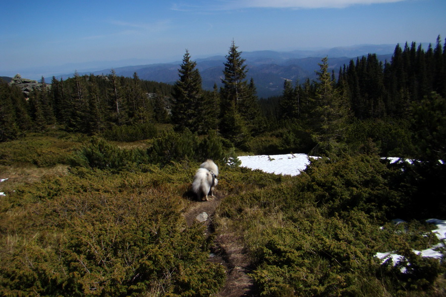 Kráľova hoľa z Telgárta (Nízke Tatry)