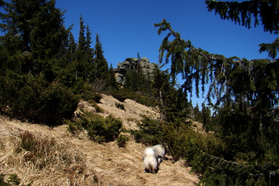 Kráľova hoľa z Telgárta (Nízke Tatry)